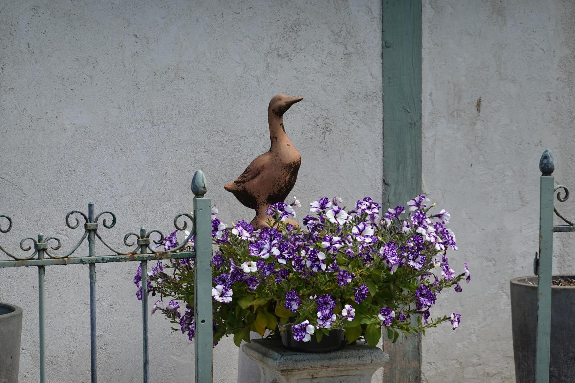 L'Escale Champetre Bed and Breakfast Culmont Buitenkant foto